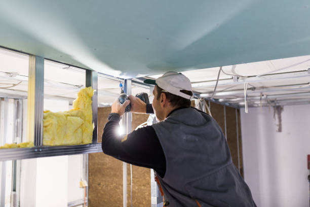 Best Spray Foam Insulation in Collinwood, TN