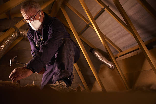 Best Specialized Insulation Services in Collinwood, TN
